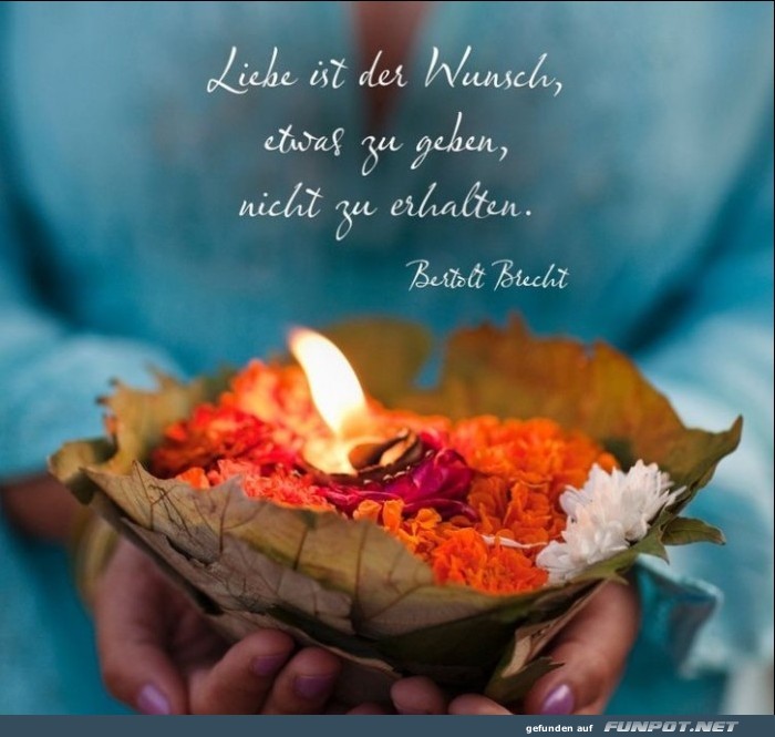 liebe ist der Wunsch liebe ist der Wunsch
