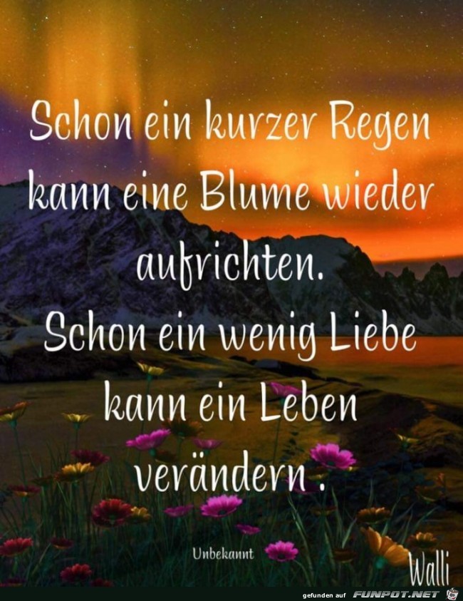 schon ein kurzer regen schon ein kurzer regen