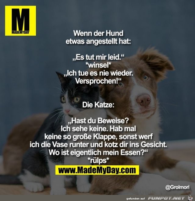 wenn der Hund etwas angestellt hat wenn der Hund etwas angestellt hat