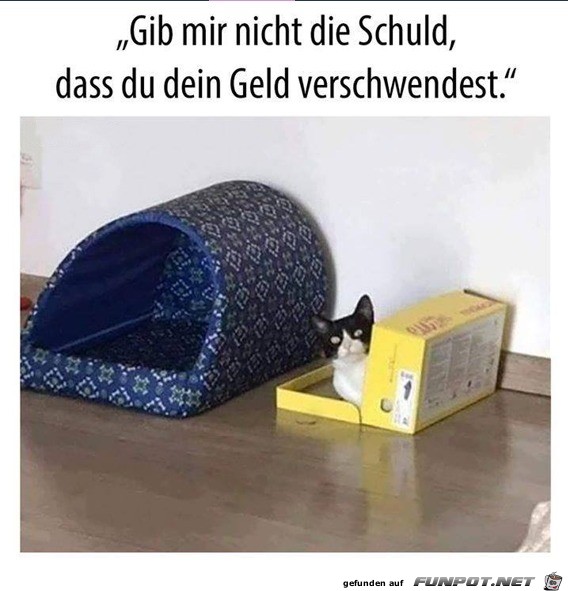 Mir reicht ein Karton Mir reicht ein Karton