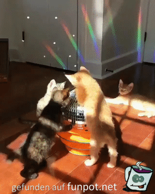 Discokugel Discokugel