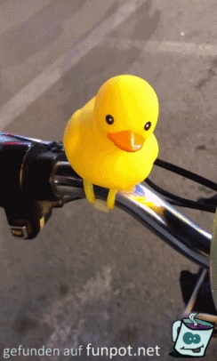 Safety first! Safety first!