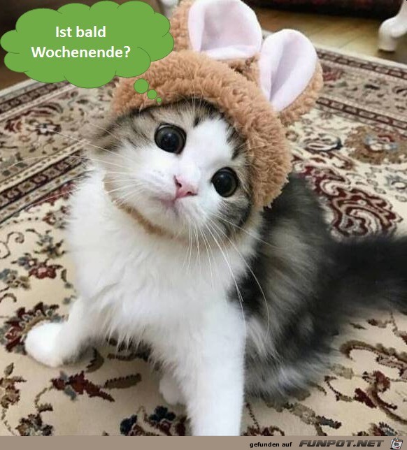 Wochenende Wochenende