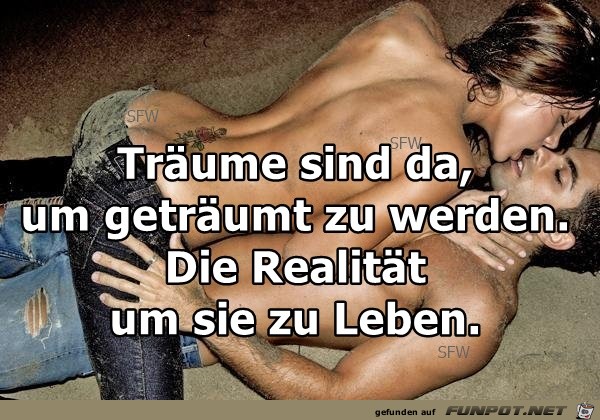 Traeume Realitaet Traeume Realitaet