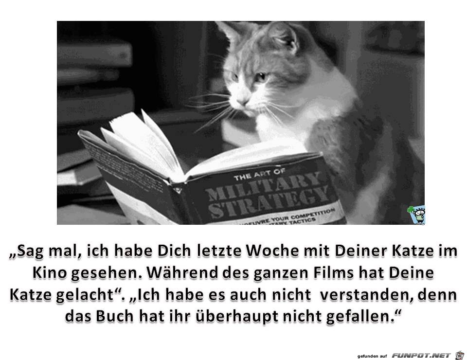 Katze-im-Kino.jpg auf www.funpot.net