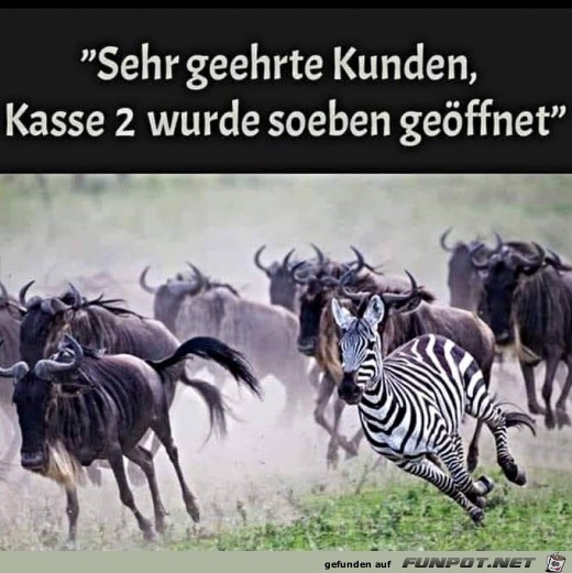Neue-Kasse-geöffnet.jpg auf www.funpot.net