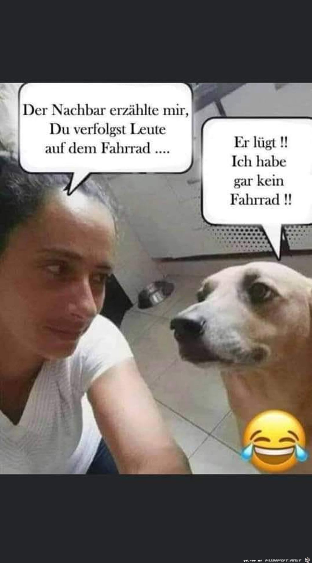 Der Nachbar Der Nachbar