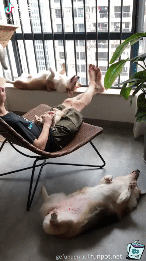 Relax-Time Relax-Time