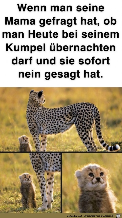 Mama hat nein gesagt