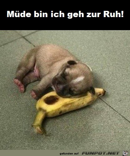 Müde Müde