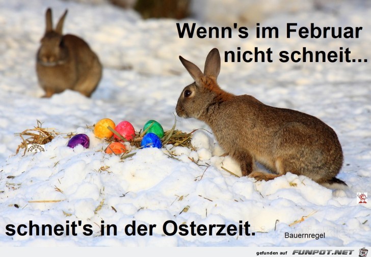 Ostern2020-im-Schnee.jpg auf www.funpot.net