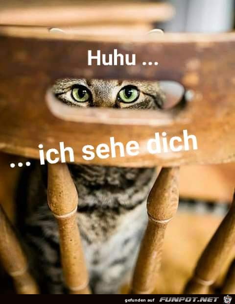 Ich seh dich