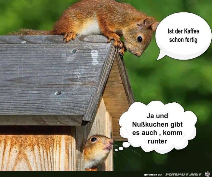 Ist-der-Kaffee-schon-fertig?.jpg auf www.funpot.net