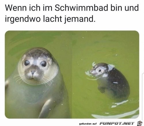 Ich-im-Schwimmbad.jpg auf www.funpot.net