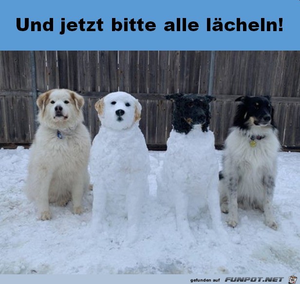 Und-jetzt-alle-lächeln.jpg auf www.funpot.net