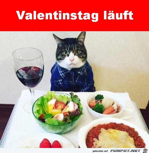 Valentinstag-läuft.jpg auf www.funpot.net