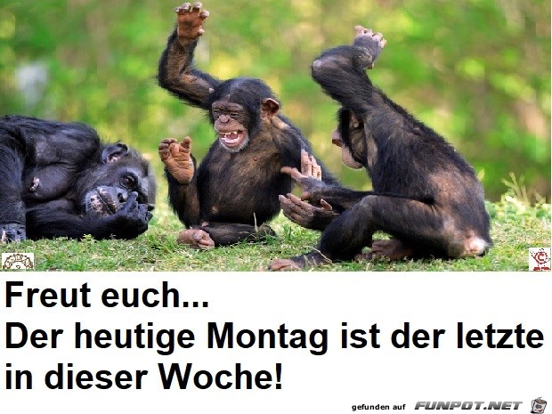 der-letzte-Montag.jpg auf www.funpot.net