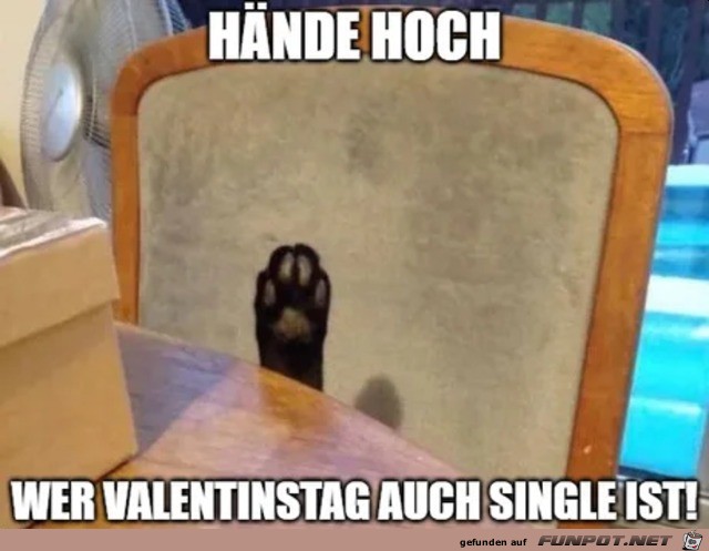 Wer ist am Valentinstag auch Single? Wer ist am Valentinstag auch Single?