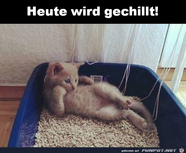 Heute wird gechillt Heute wird gechillt