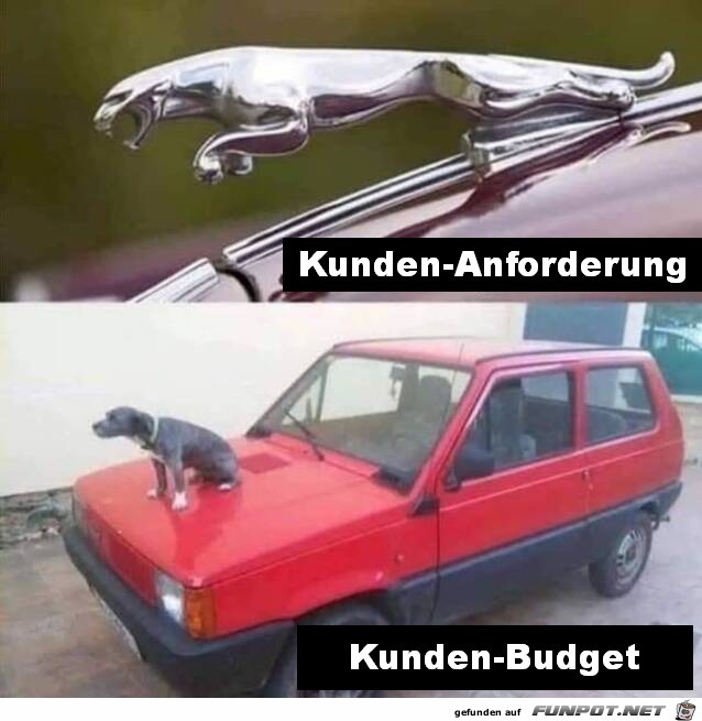 Unterschied zwischen Wunsch und Budget