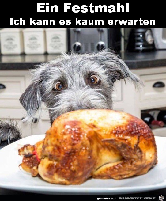 Was für ein Festmahl Was für ein Festmahl