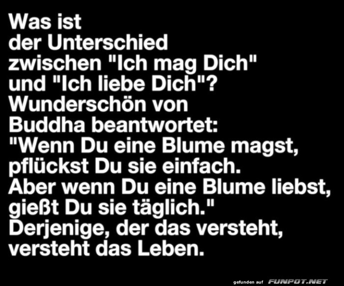 was ist der Unterschied was ist der Unterschied
