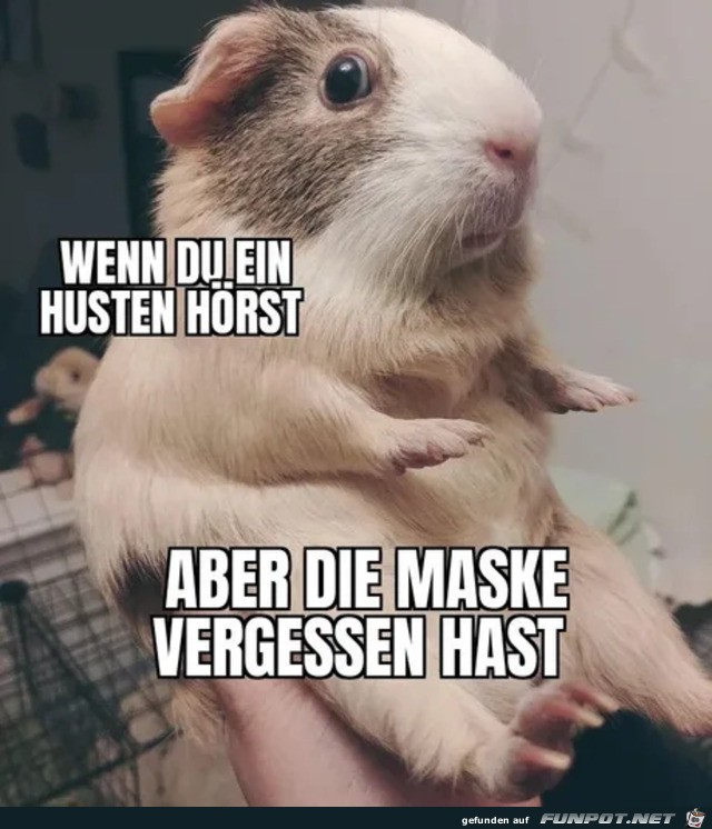 Wenn du ein Husten hörst Wenn du ein Husten hörst