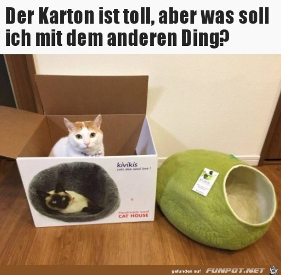 Der Karton ist toll