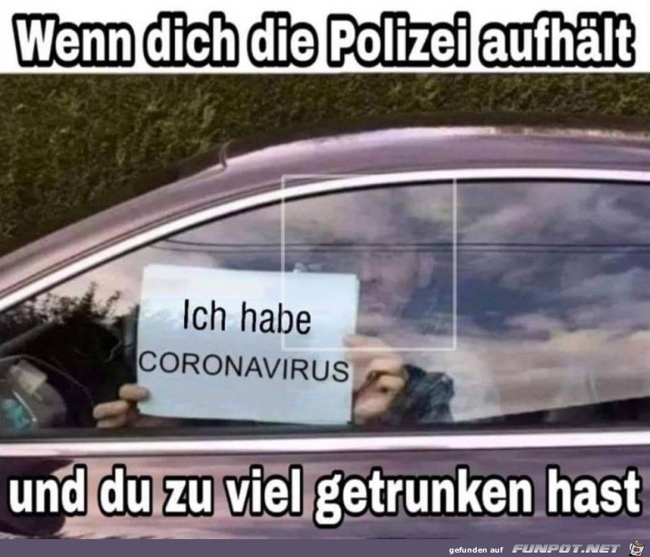 Wenn du zu viel getrunken hast