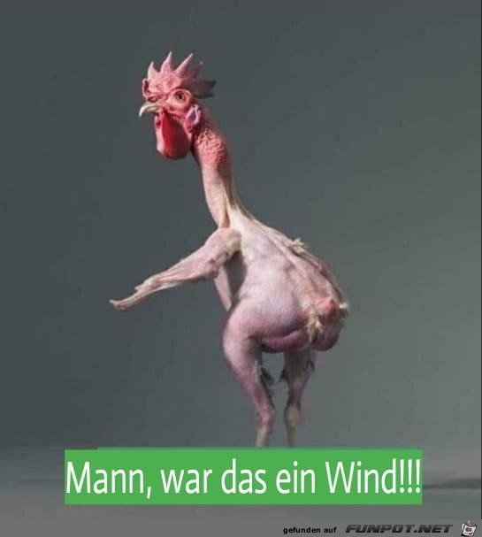 witzige Bilder aus verschiedenen Blogs