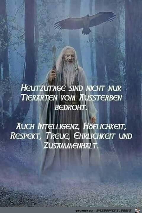 heutzutage heutzutage