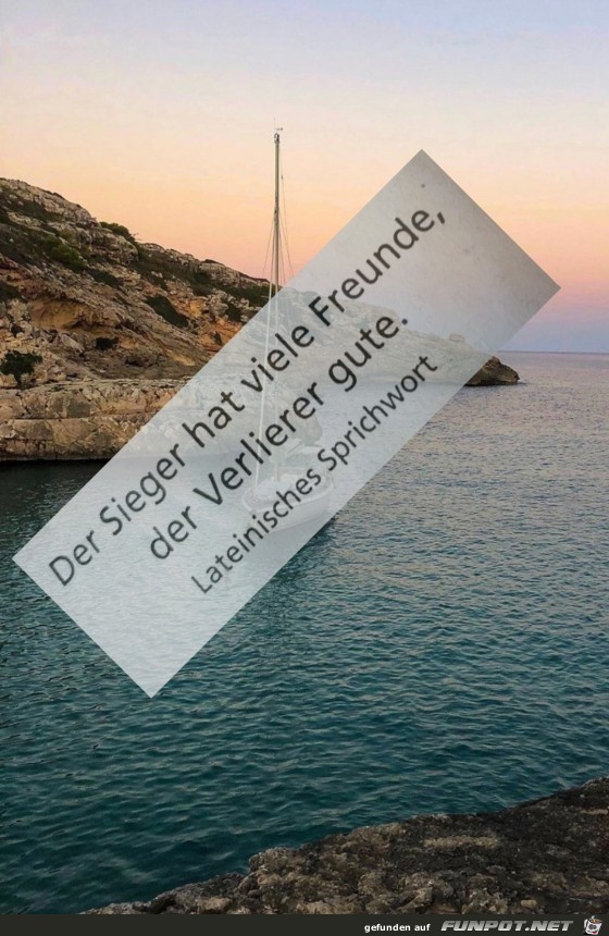 der Sieger der Sieger