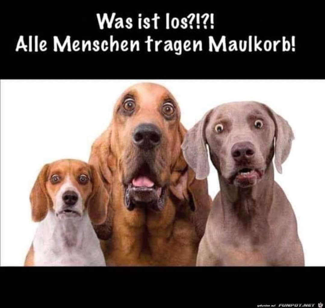 Maulkorb