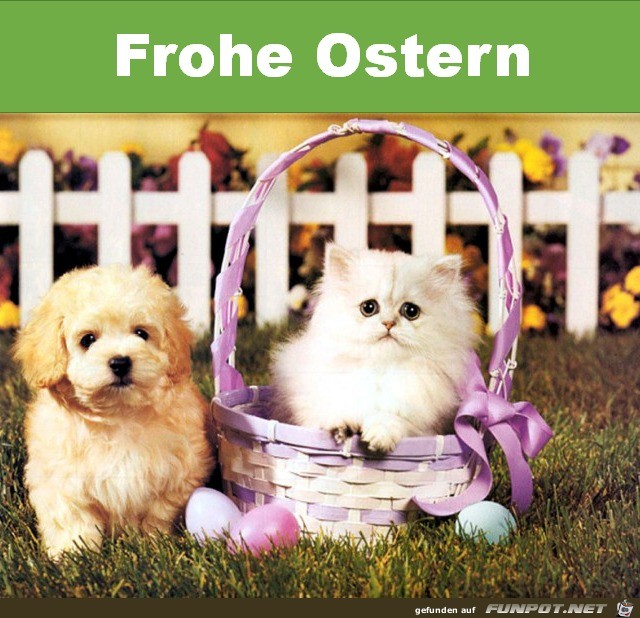 Frohe Ostern Frohe Ostern