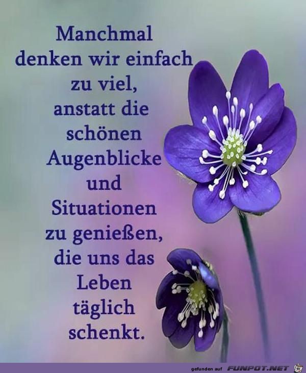 Manchmal denken wir zu viel Manchmal denken wir zu viel