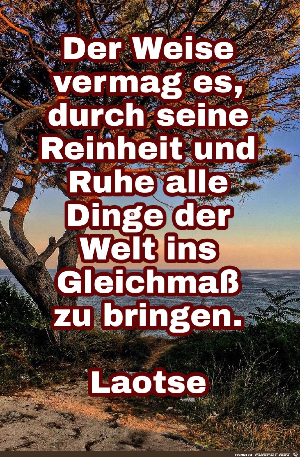 der weise vermag01 der weise vermag01