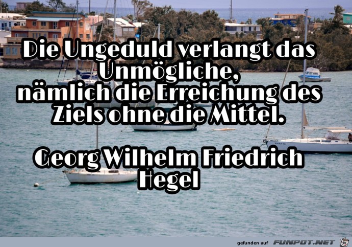 die Ungeduld die Ungeduld
