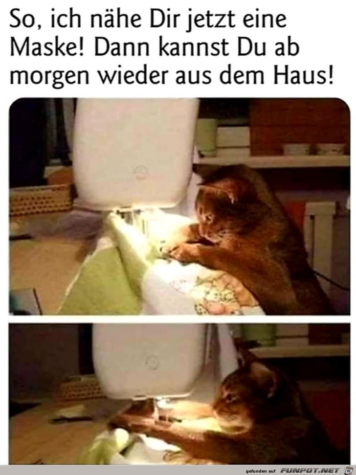 So, ich nähe dir jetzt eine Maske ! So, ich nähe dir jetzt eine Maske !
