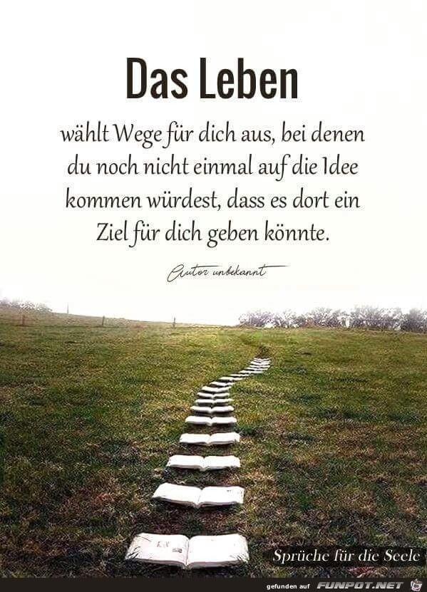 Das Leben wählt Wege für dich aus Das Leben wählt Wege für dich aus