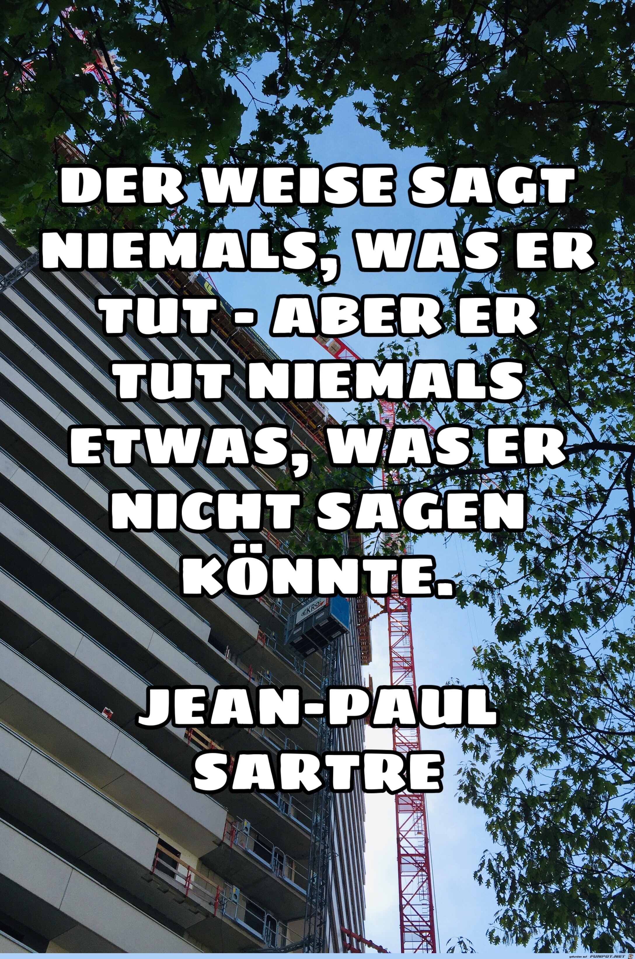 der weise sagt niemals der weise sagt niemals