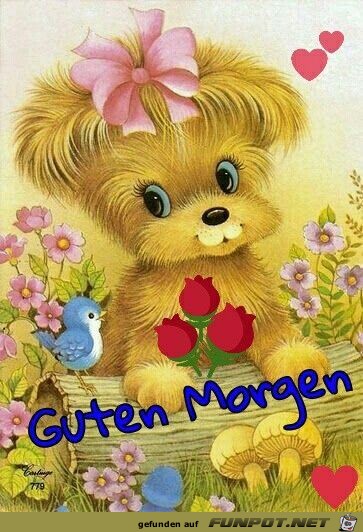 Guten Morgen Guten Morgen