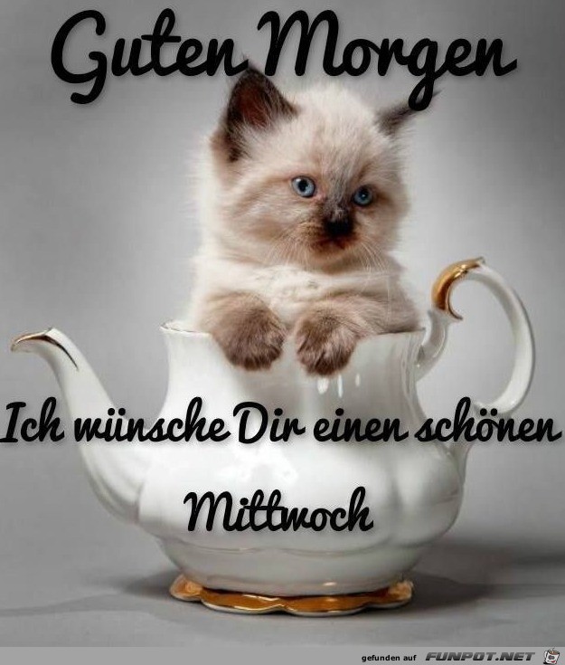 Guten Morgen Mittwoch Guten Morgen Mittwoch