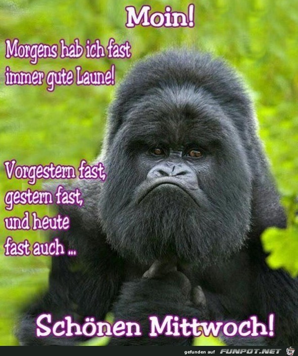 Schnen Mittwoch