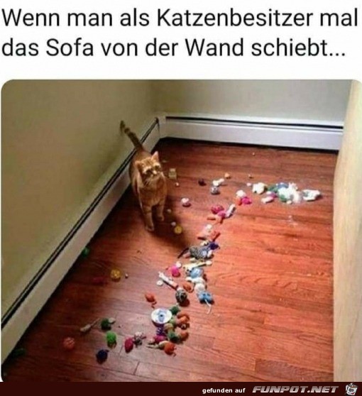 Viel Katzenspielzeug hinter dem Sofa Viel Katzenspielzeug hinter dem Sofa