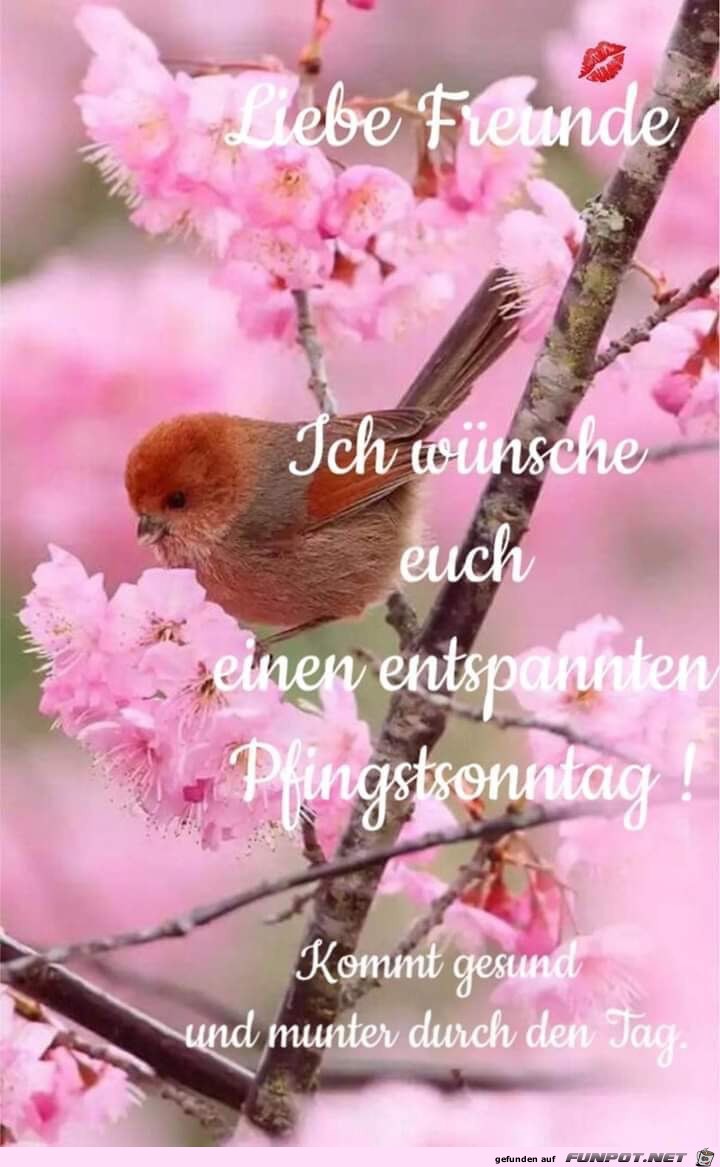 Einen entspannten Pfingstsonntag