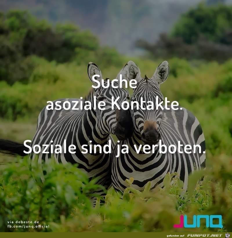 Kontakte Kontakte