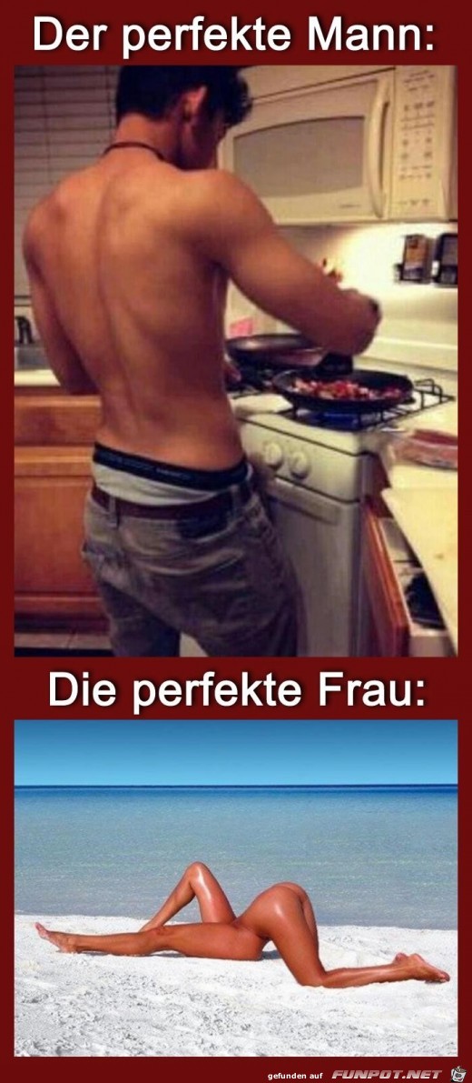 Der perfekte Mann Der perfekte Mann
