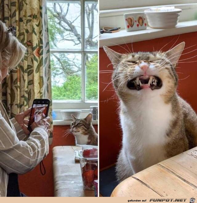 Foto-Gesicht Foto-Gesicht