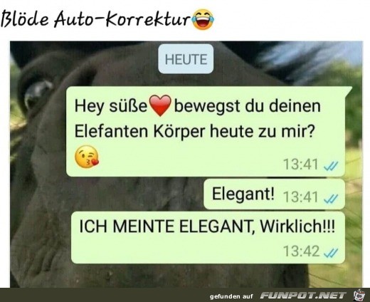 Diese blöde Autokorrektur Diese blöde Autokorrektur