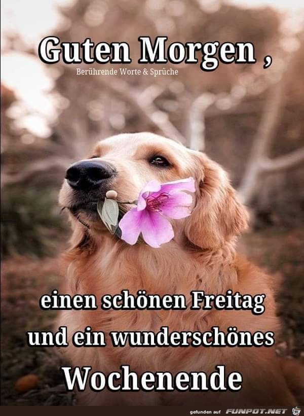 Schnen Freitag